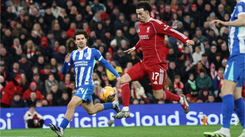 Liverpool đại chiến với Brighton Hove Albion